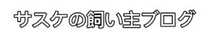 サスケの飼い主ブログ