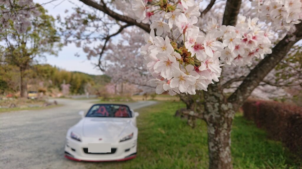 自分好みに愛車カスタムしよう